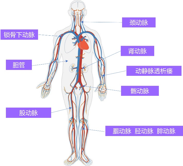 &#19975;&#35937;&#22478;&#22312;&#32447;&#45;&#19975;&#35937;&#22478;&#65288;&#20013;&#22269;&#65289;